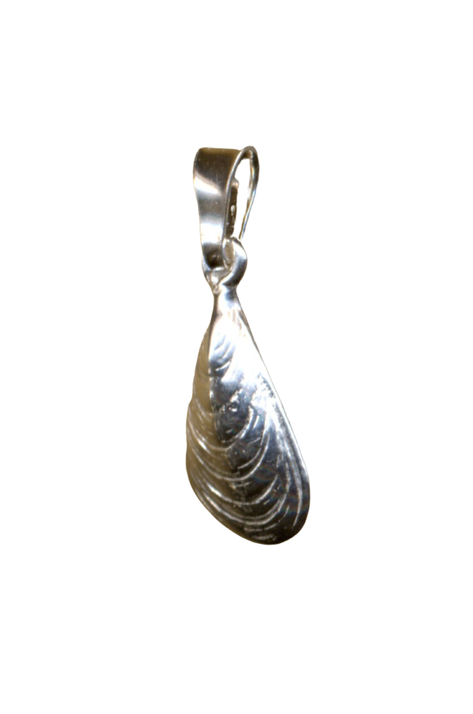 Bl mussla 4ad48cf5645f7.png