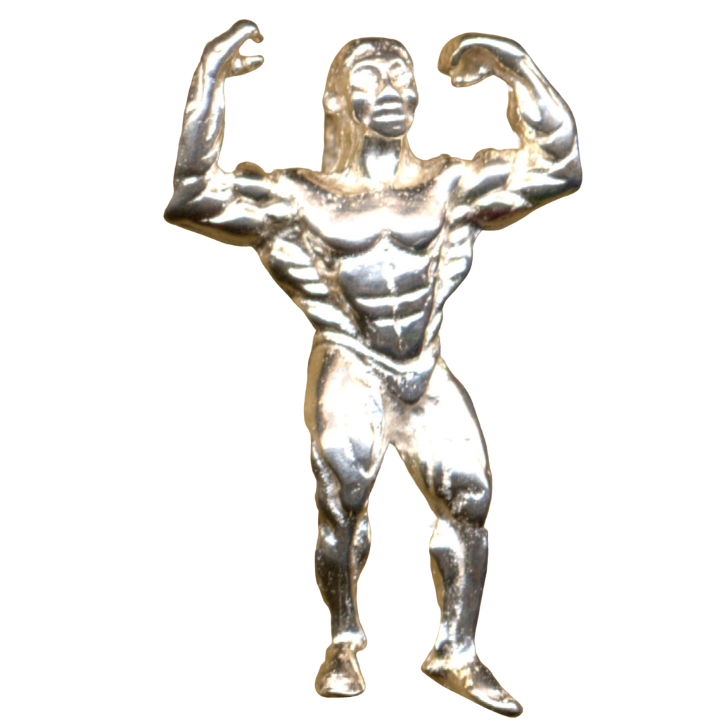 Bodybuilder 4aedb47535b3e.png