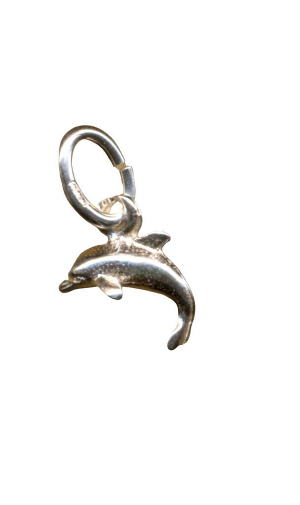 Delfin 4b542fda38055.png