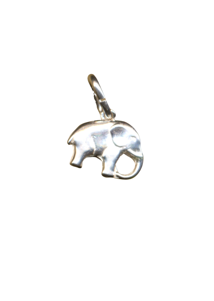 Elefant 4ad6127a13923.png