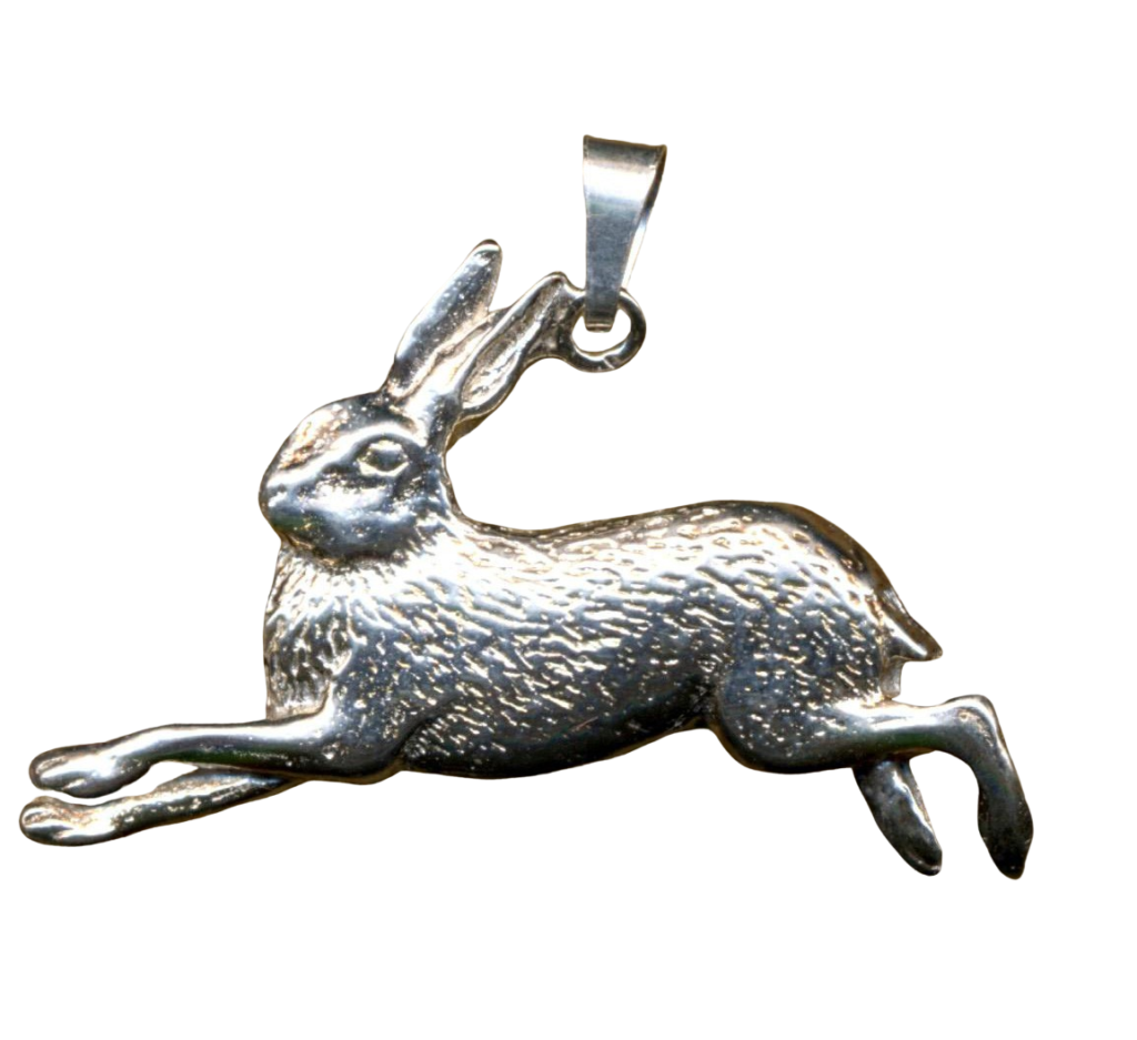 Hare 4ac5fff9cf356.png