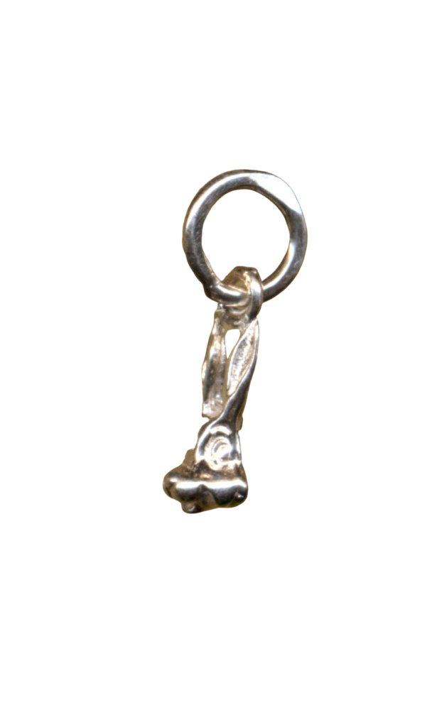 Hare 4ae71c9f350ac.png