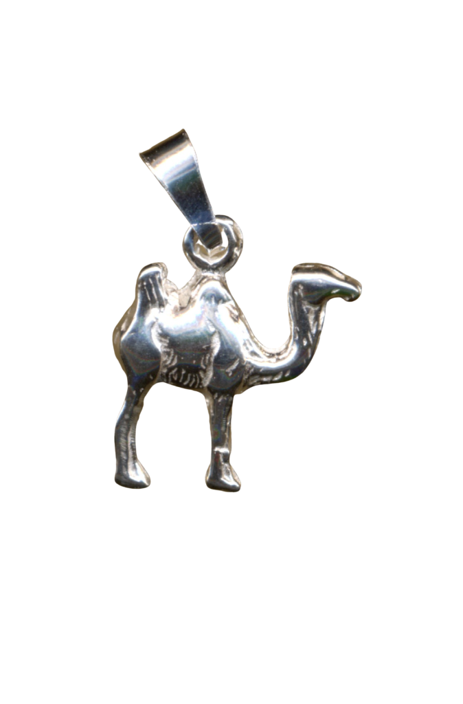 Kamel 4ad6000f0d66b.png