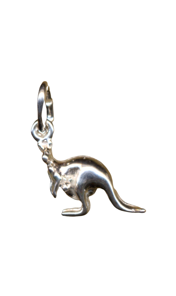 K nguru 4ae71c38c8d61.png